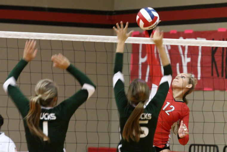 Volleyball: Salado v. Taylor